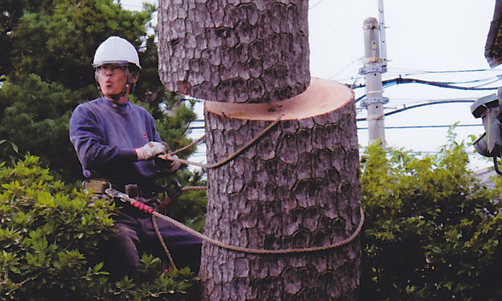 創業100年を迎える「山岸木材工業」